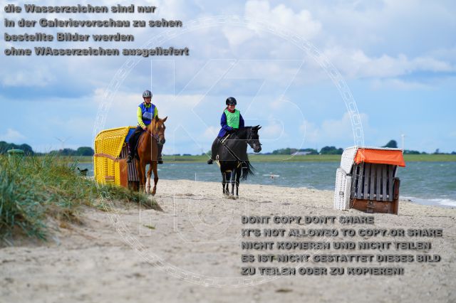 s_K3F05200.JPG